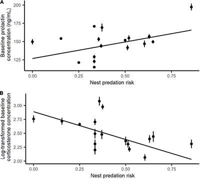 Parental Investment Under Predation Threat in Incubating Common Eiders (Somateria mollissima): A Hormonal Perspective